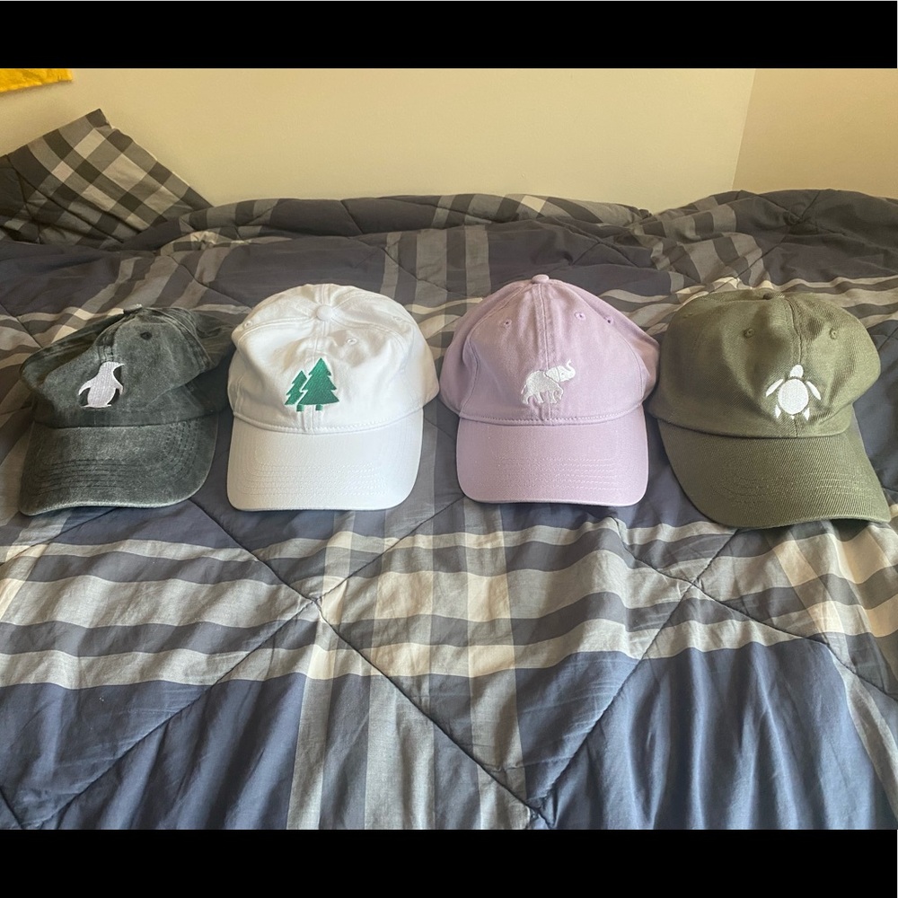 Earth Caps